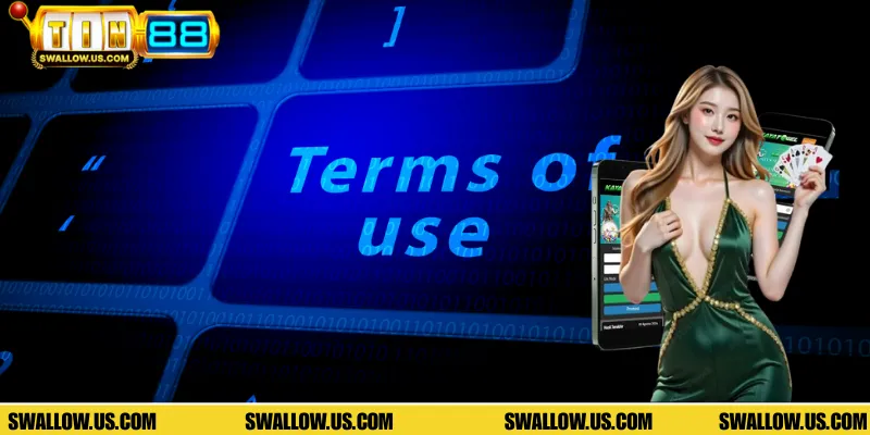 Tổng hợp những nội dung quan trọng tại điều khoản sử dụng TIN88 trực tuyến
